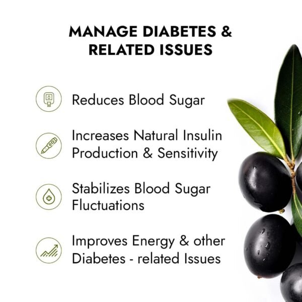Kapiva Dia Free Juice – Clinically Proven Diabetic Care (1L x 2 Bottles) - Image 3