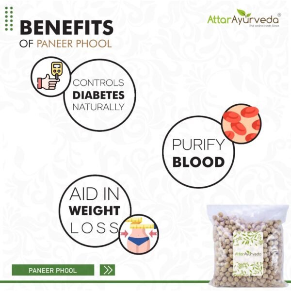 Attar Ayurveda Paneer Phool (400g) – Pure Withania Coagulans - Image 3
