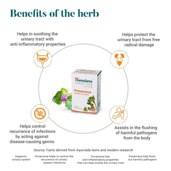 Himalaya Punarnava Tablets - 60 Count - Image 2
