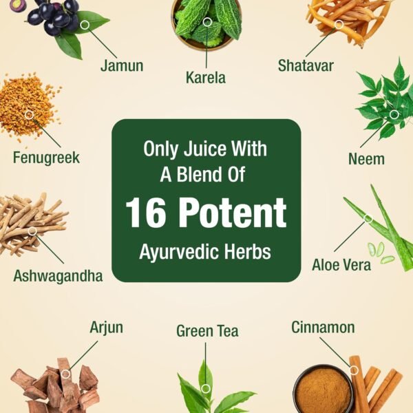 DiabeSmart Dia Care Juice Review (2L for ₹899) - Image 3