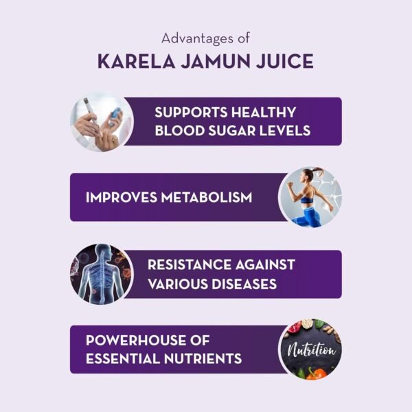 Baidyanath Asli Ayurved Karela Jamun Juice - Image 3