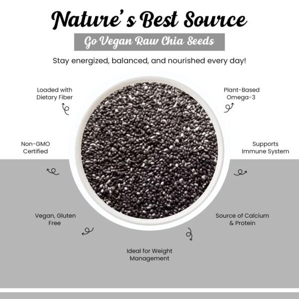 Go Vegan Raw Chia Seeds 250g | Omega-3 & Fibre-Rich Superfood | High Protein, Calcium | Weight Loss & Digestion Support - Image 3