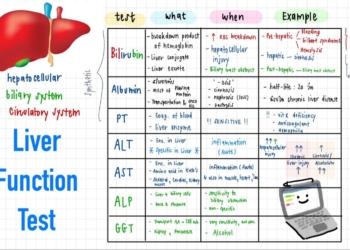 Liver Function Tests (LFTs)
