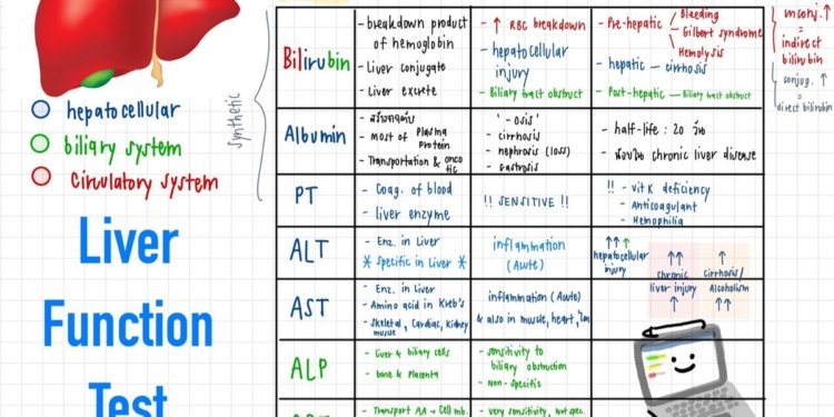 Liver Function Tests (LFTs)