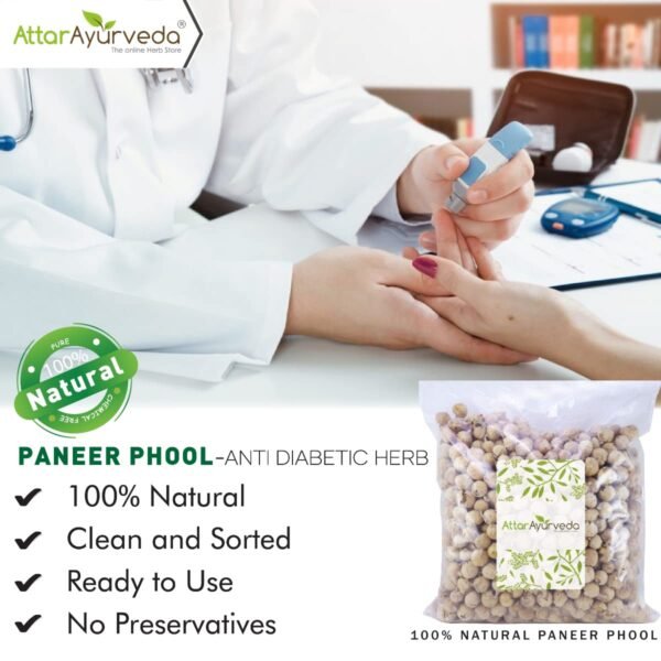 Attar Ayurveda Paneer Phool (400g) – Pure Withania Coagulans - Image 2