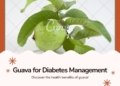 Guava Good for Diabetes