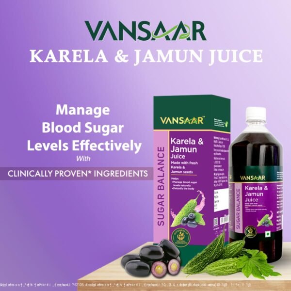 Vansaar Karela & Jamun Juice Review – 1L | Natural Blood Sugar Support - Image 2