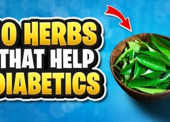 herbs for diabetes