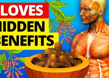 clove benefits