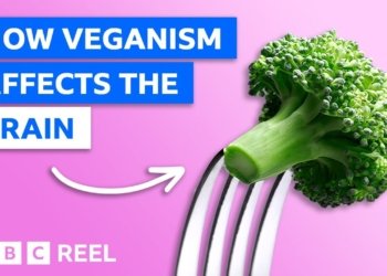 vegan health tips