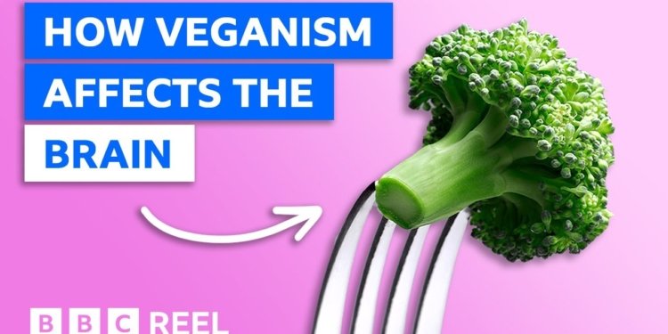 vegan health tips