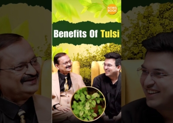 tulsi benefits