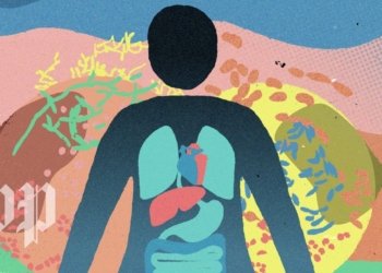 gut microbiome