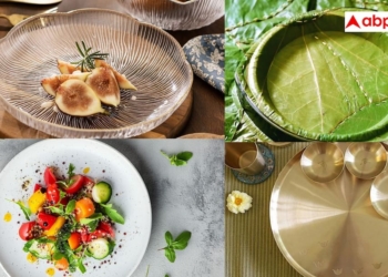 which type of plate is truly the safest for daily eating कांच, प्लास्टिक या पीतल, जानें किस प्लेट में खाना सबसे सुरक्षित और किस बर्तन में नुकसान?
