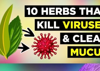 herbs for health