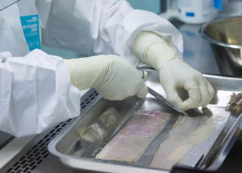 Medicare to Spend $15B on Treatment Linked to Fraud, Patient Harm