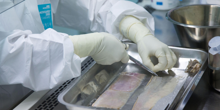 Medicare to Spend $15B on Treatment Linked to Fraud, Patient Harm