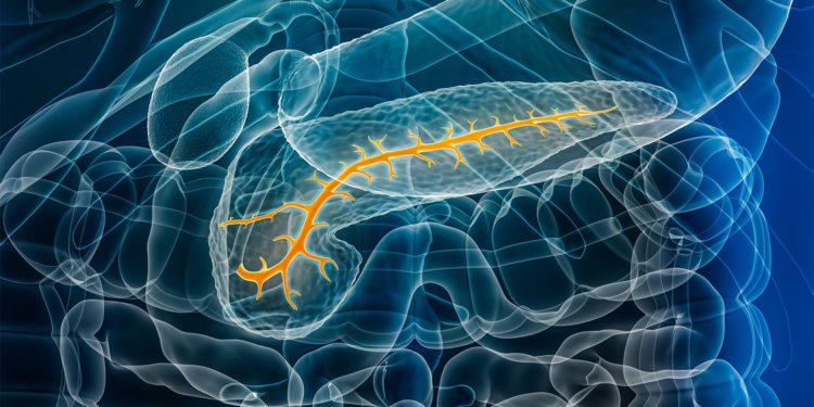 Study Finds New Risk Factor for Pancreatic Cancer