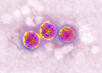 Resurrecting a Global Killer: ACIP’s Hep B Vote