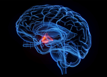 Novel Orexin Drug Improves Cognitive Symptoms of Narcolepsy Type 1