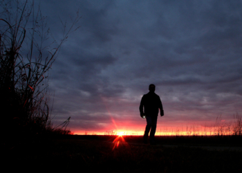 U.S. Suicide Rate Fell in 2024 After Hovering at High Level