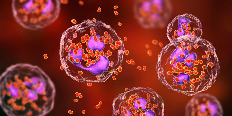 Novel Oral Antibiotic Matches Standard Option for Urogenital Gonorrhea