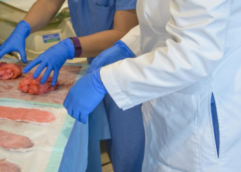 Burden of Postpartum Hemorrhage May Be Greater Than Previously Thought