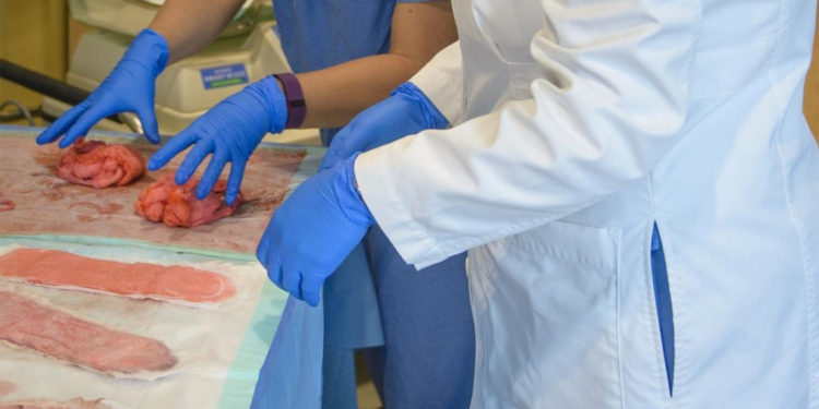 Burden of Postpartum Hemorrhage May Be Greater Than Previously Thought