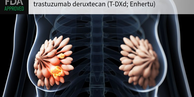Blockbuster Drug Lands First-Line Indication for HER2-Positive Breast Cancer