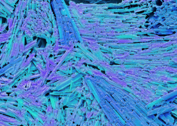 Gout and Its Comorbidities