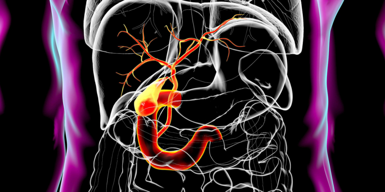 Liver Disease Medication Linked to Lower Cancer Risks