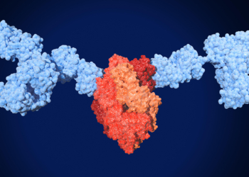 Nirsevimab Might Top Maternal Vax for Infants’ RSV Protection