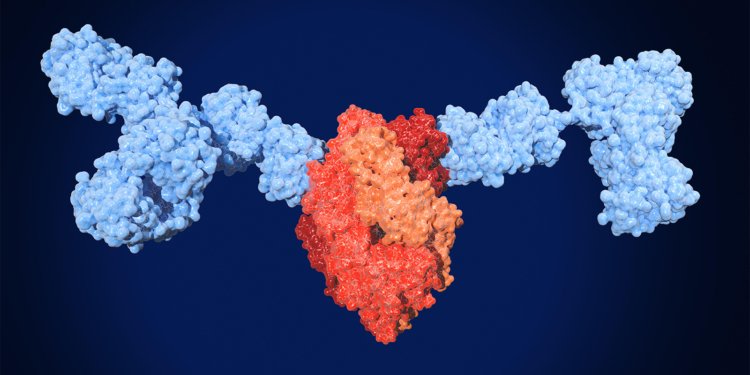 Nirsevimab Might Top Maternal Vax for Infants’ RSV Protection