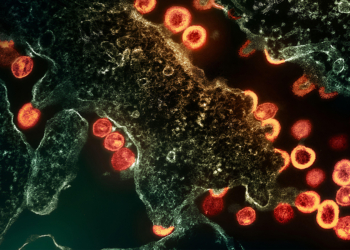 Once-Weekly Oral Combo for HIV Maintains High Rates of Virologic Suppression