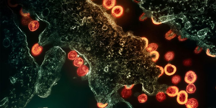 Once-Weekly Oral Combo for HIV Maintains High Rates of Virologic Suppression