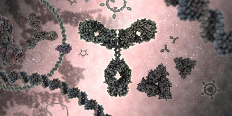 FcRn Blockers Vie to Become First Approved Drug for Sjogren’s Disease