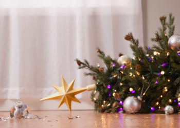 Deck the Halls With Ow’s From Folly: What the Numbers Tell Us About Holiday Injuries