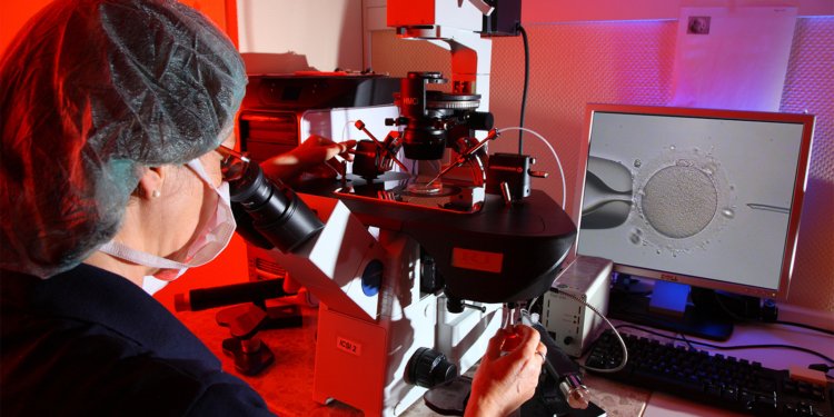 Assisted Reproduction Linked to Child’s Risk of Asthma, Eczema