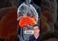 9 symptoms of Fatty Liver Disease: warning signs you can't ignore #shorts