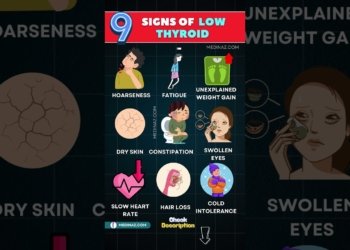 thyroid weight gain solution