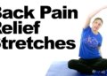 back pain solution