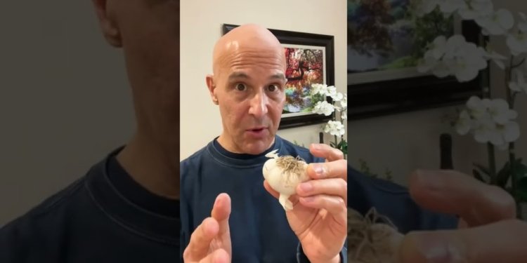 cough cold home remedy