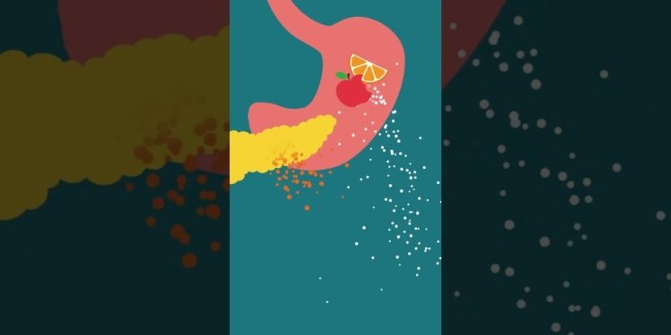 insulin resistance cure