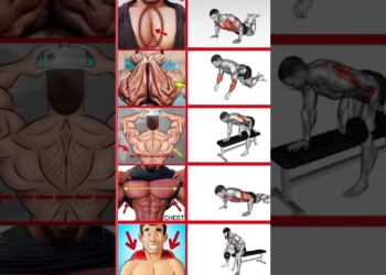 body fitness tips