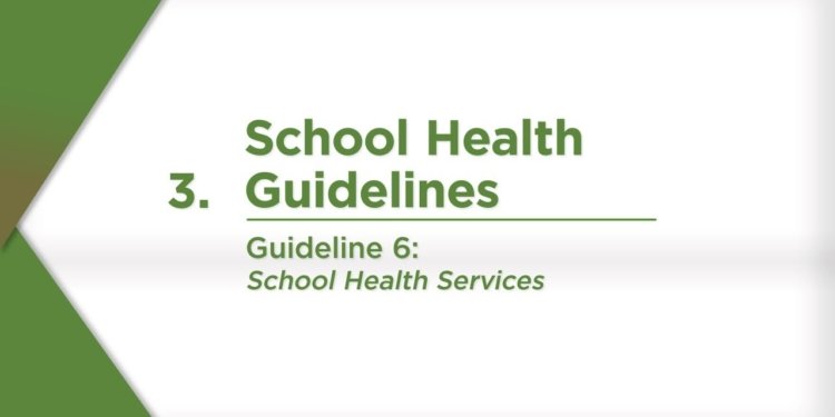 school health issues