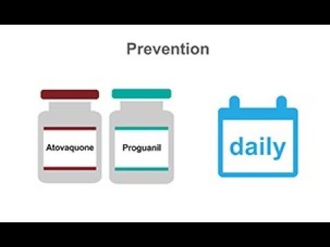 malaria prevention