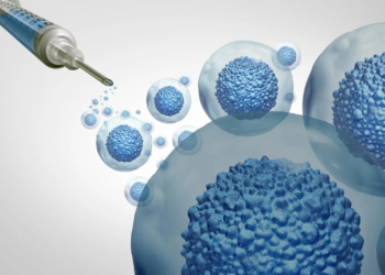 Stanford makes stem cell transplants safer without chemo