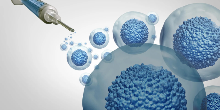 Stanford makes stem cell transplants safer without chemo