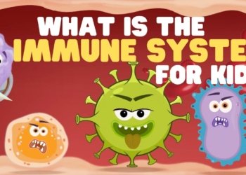 immunity for kids