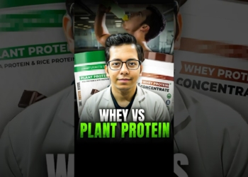 plant protein